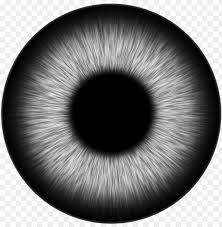 Daily Clear Lens