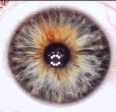 UV Protection Lens