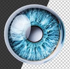 Blue Color Lens