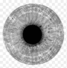 Grey Toric Lens