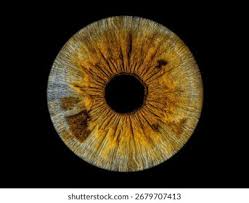 Golden Cosmetic Lens