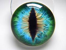 Honey Color Lens