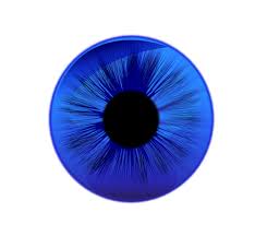 Extended Wear Lens